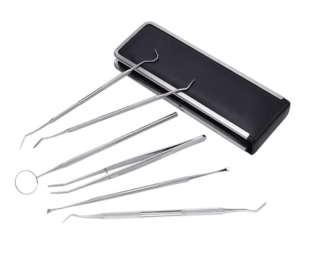 Professionellt tandhygien kit - 6 delar med fodral