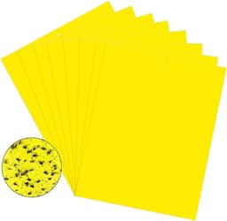 Klibbig fälla för skadeinsekter Flugfångare 20-pack Gul