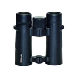 Braun Compagno 10x34 WP