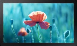Samsung 13" digitaalinen infonäyttö LH13QBRMBGCXEN
