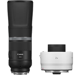 Canon RF 800mm f/11 IS STM  Ext RF 2.0x