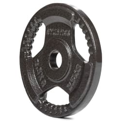 Gymstick Painolevy Iron Weight Plate, Levypainot Rauta 2,5 kg