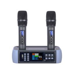 Dobbel profesjonell trådløs mikrofon med fast mottaker Grå