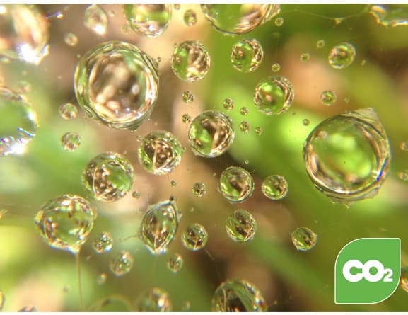 CO2 Kompensaatiopalvelu sisältyy tähän tuotteeseen!