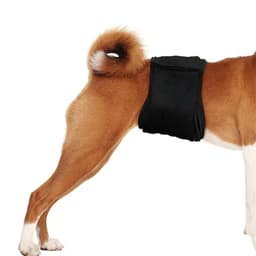 Bekväm och tvättbar hundblöja Svart S