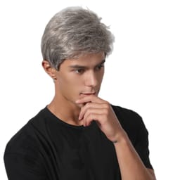 Chic paryk til mænd, super let og åndbar Sølvgrå
