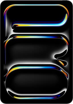 iPad Pro 11" M4 1TB WiFi (Stellarsvart)