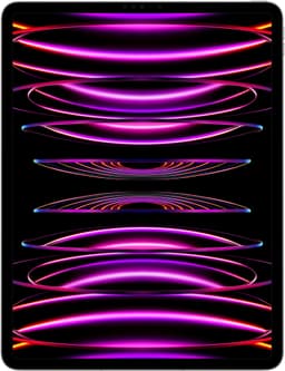 iPad Pro 12.9" 2022 1 TB WiFi + Cellular (space gray )