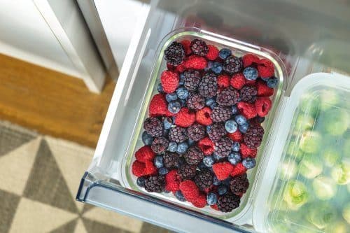 FastFreeze (GardenFresh FS Freezer 2022)