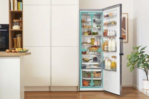 BigCapacity (GardenFresh FS 2022)