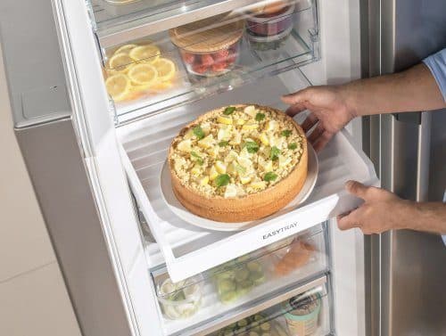 EasyTray (GardenFresh FS Freezer 2022)