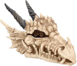 Nemesis Now Dragon Skull æske