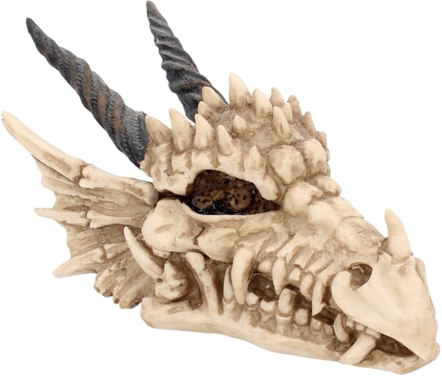 Nemesis Now Dragon Skull æske