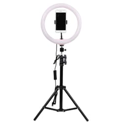 Snapsy Ringlys 10"" (50 cm)