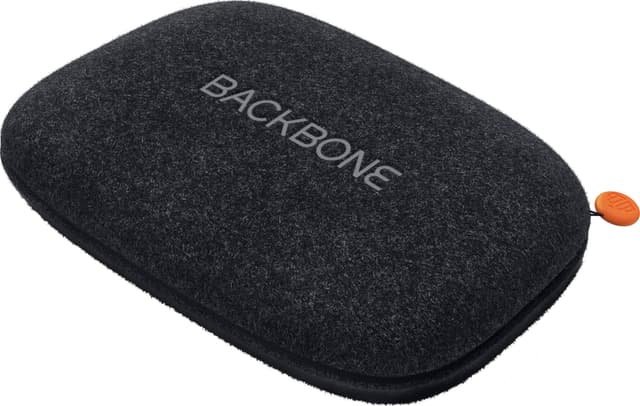 Backbone gamepad-fodral