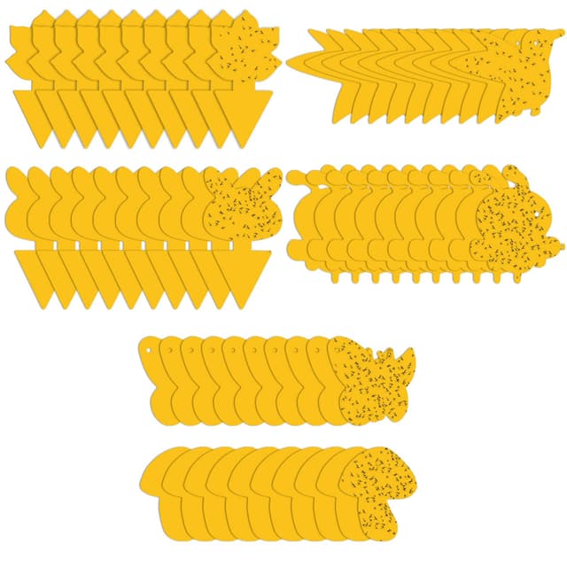 Klibbig fälla mot bananflugor och skadedjur på krukväxter 60-pack