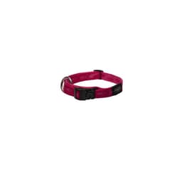 Hundehalsbånd K2 20mm/34-56cm rosa, Rogz