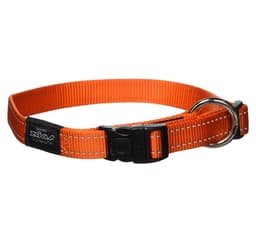 Hundhalsband fläktbälte 20mm/34-56cm orange, Rogz