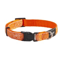 Hundhalsband jelly beam krage orange doodle 11mm/20-31cm, Rogz