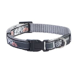 Hundehalsbånd Jelly Beam halsbånd koralløy sølv 11mm/20-31cm, Rogz