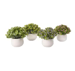 Grøn plante I HAVE, H15cm, mix, beige potte