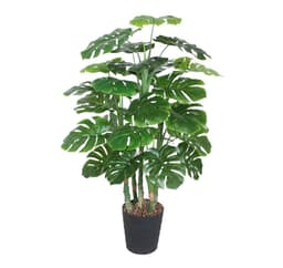 Grøn plante MONSTERA, H120cm, 5 grene, sort potte