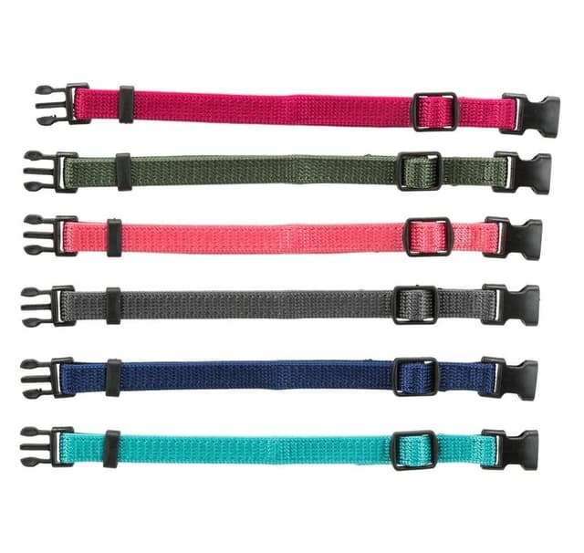 Junioruppsättning valphalsband, M–L: 22–35 cm/10 mm, fuchsia, grafit, indigo, skog, korall, hav