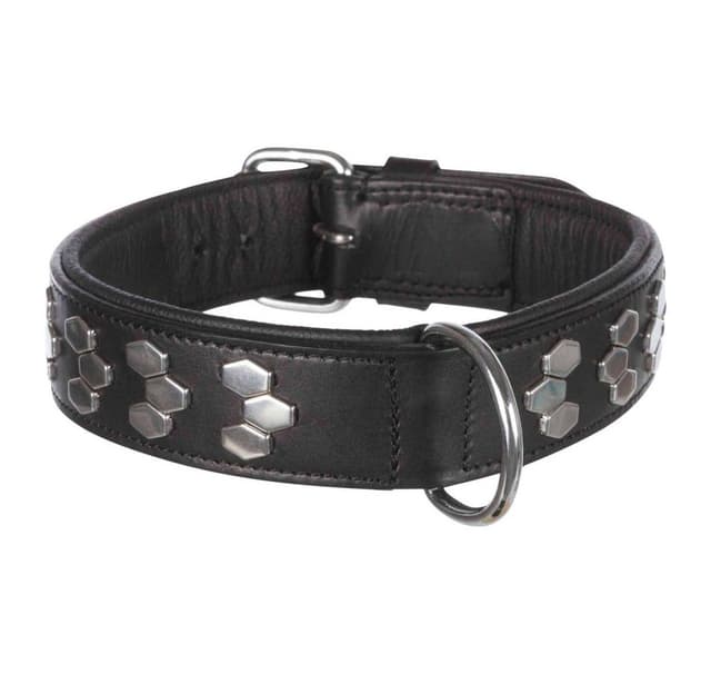 Aktiv krave med nitter, M: 38–45 cm/40 mm, sort