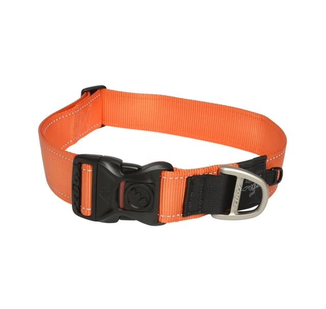 Klassisk krage 50-80cm/40mm orange, Rogz