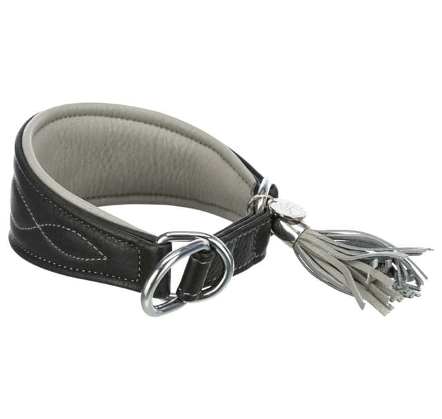 TRIXIE Active Comfort windhondenhalsband, maat XS: halsomtrek 21-26 cm/40 mm, in zwart, extra brede hondenhalsband voor zeer kleine honden, beschermt de keel, gevoerd, 18960