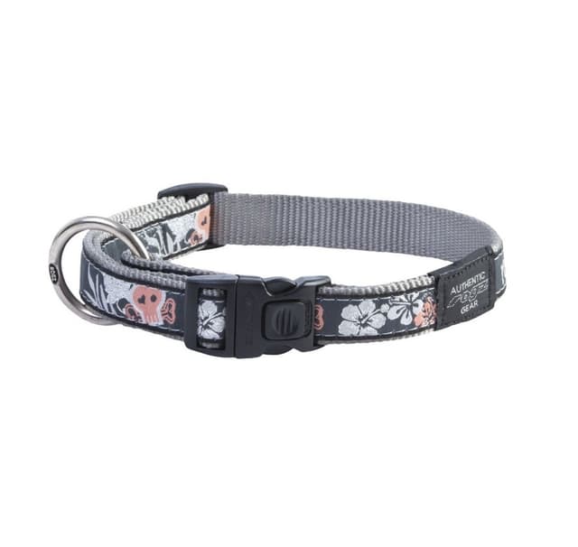 Fancy dress krage beach rumpa L korallö 20mm/34-56cm, Rogz