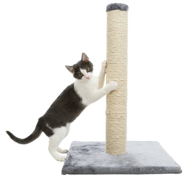 Parla kradsestolpe, 62 cm, platin grå