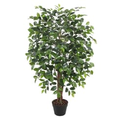 Tekopuu FICUS, H120cm, musta ruukku
