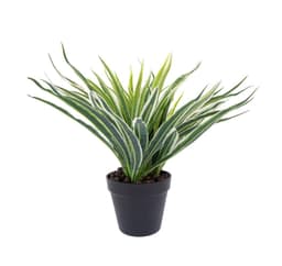 Grøn plante GRØNT GRÆS H30cm