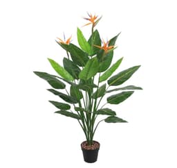 Grønn plante PARADISFUGL H150cm