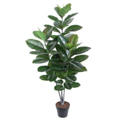 Grön växt GUMMIPLANTA H130cm