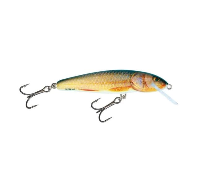 Lure Minnow 7S 7cm/8g/1,5-2,0m RR
