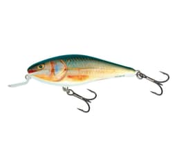 Lure Executor SR 12cm/33g/2,5-5,0m RR