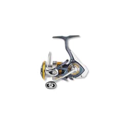 Kela Daiwa Regal LT3000D-C