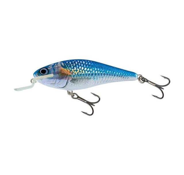Lure Executor SR 12cm/33g/2,5-5,0m HSH