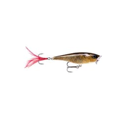 Lure Skitter Pop 5cm/6g FML