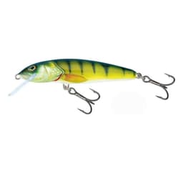 Lure Minnow 9F 9cm/10g/0,8-1,2m PH