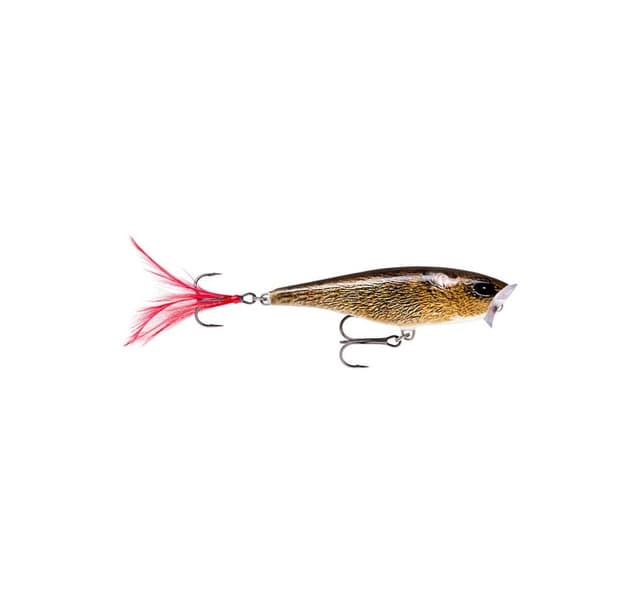 Lure Skitter Pop 7cm/7g FML