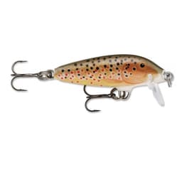 Lure Countdown 3cm/4g/0,6-0,9m TR