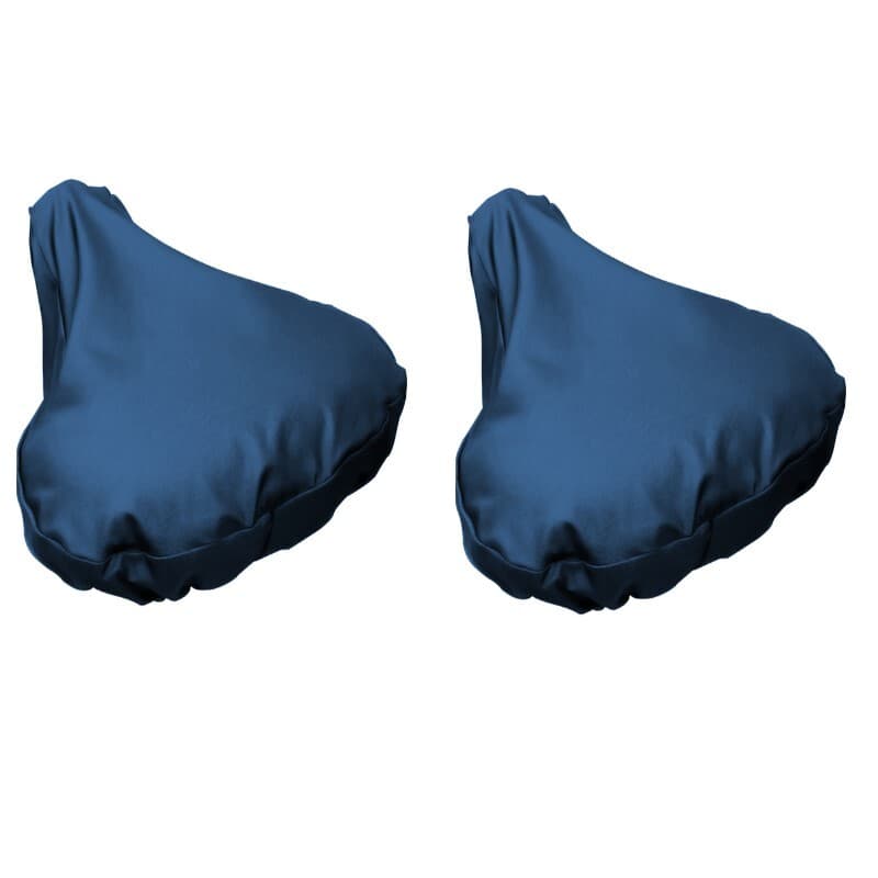 asset