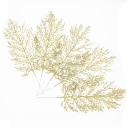 Kunstig filigran blade Julepynt 5-pack Guld