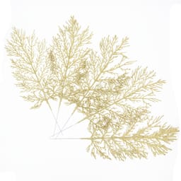 Kunstig filigranblader Julepynt 5-pack Gull