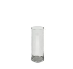Vas IN HOME D8xH15cm, klart glas