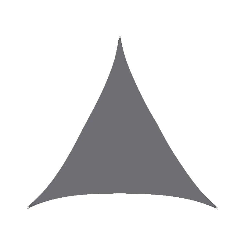 asset