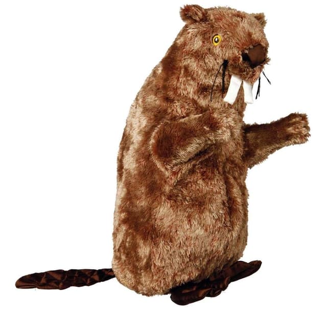 Bäver, plysch, leksak för katter, 40 cm